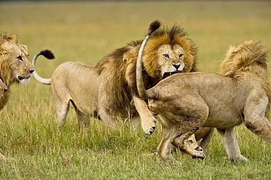 腾讯二次元英雄射击游戏《白厄战境》正式公布 2025年发售