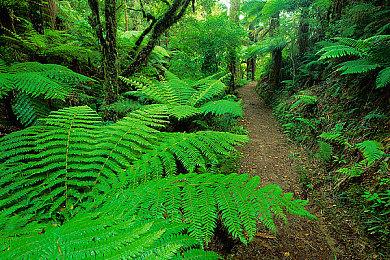 像素风类恶魔城《九年阴影》10月登陆PC 明年Q1登陆Switch