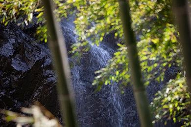 爆火游戏《鹅鸭杀》商标遭抢注 贪吃蛇大作战子公司注册