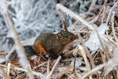 《鬼武者2复刻版》惨败 外媒仍卖力夸赞该作就是好玩